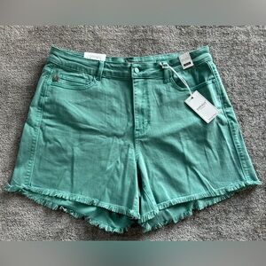 🌶️ NWT Judy Blue Shorts Sienna Aquamarine Mid Rise Frayed Hem. Size 2XL